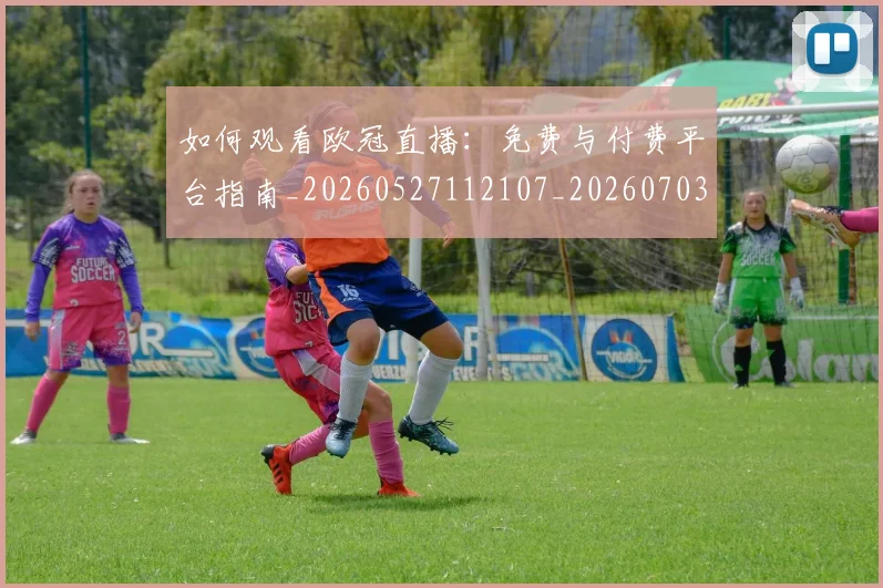 如何观看欧冠直播：免费与付费平台指南_20260527112107_20260703230823