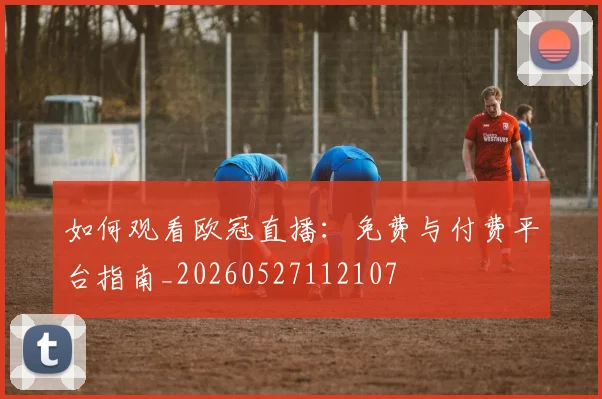 如何观看欧冠直播：免费与付费平台指南_20260527112107