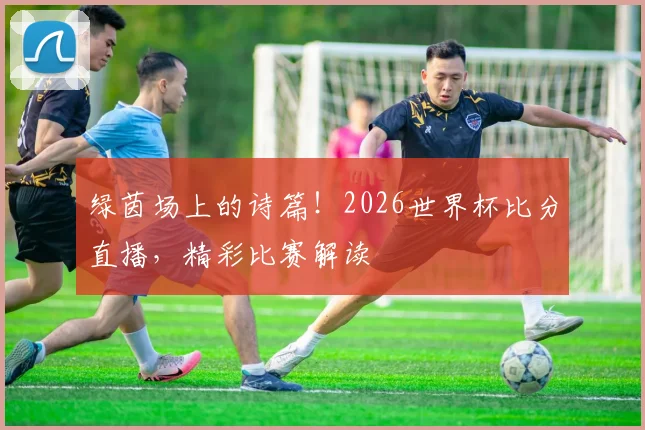 绿茵场上的诗篇！2026世界杯比分直播，精彩比赛解读
